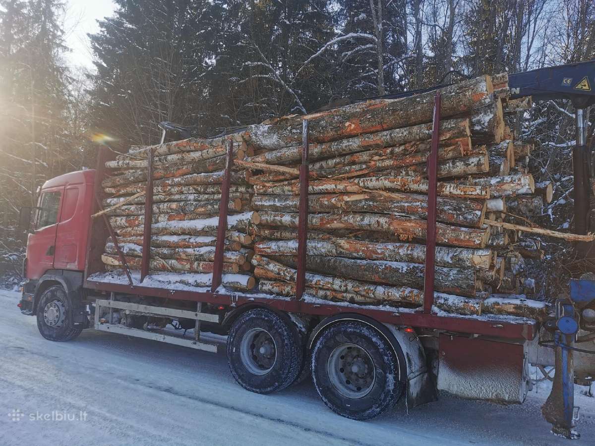 Malkos pigiau! Beržas,uosis,ąžuolas,juodalksnis. - nuotraukos Nr. 17
