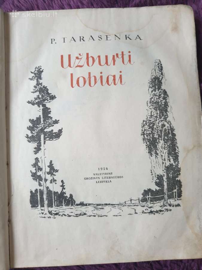 Pasakų knyga užburti lobiai - nuotraukos Nr. 3