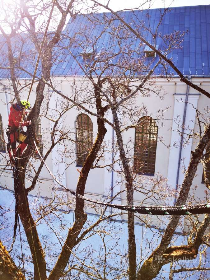 Arboristų paslaugos, medžių pjovimas, genėjimas - nuotraukos Nr. 7