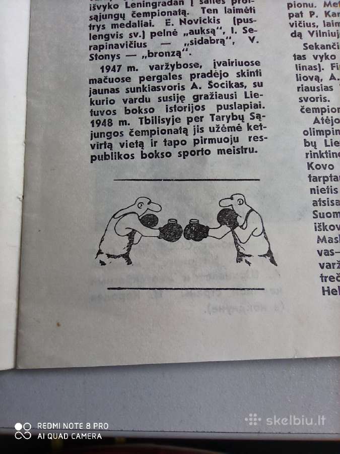 Lietuvos boksui - nuotraukos Nr. 10