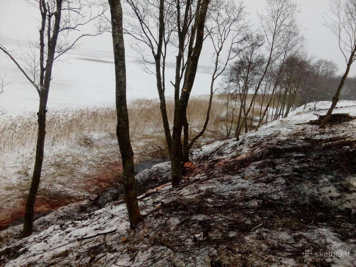 Griovimo darbai, apleistų sklypų tvarkymas. - nuotraukos Nr. 6