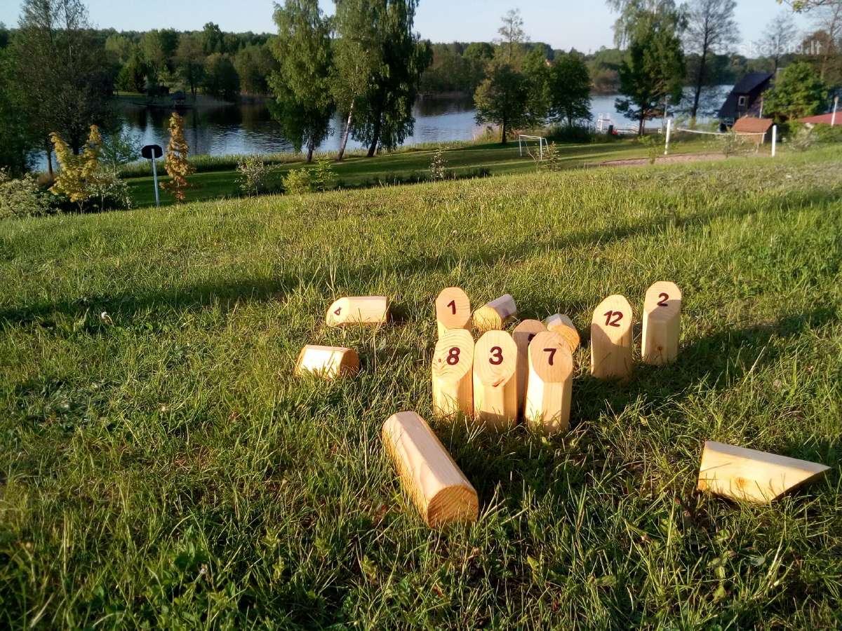 XXL lauko žaidimų nuoma - nuotraukos Nr. 6