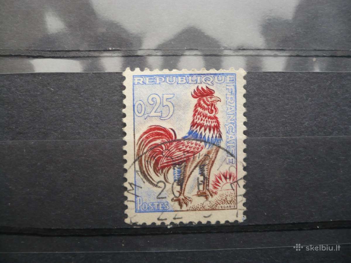 1962 Galų gaidys