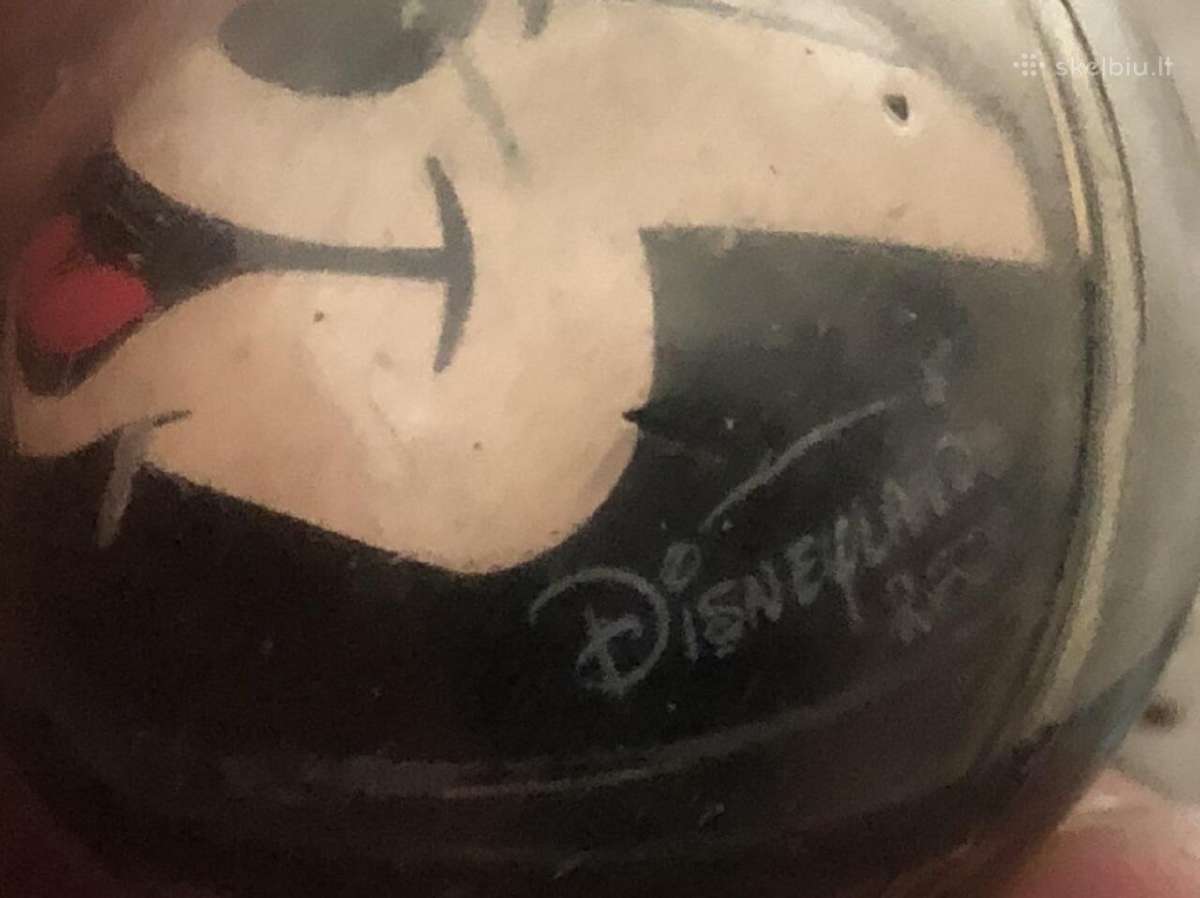 Raktu pakabukas Disneyland ir velniukas - nuotraukos Nr. 7