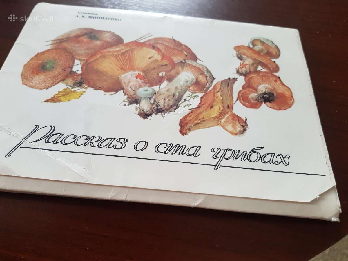 Atviručių rinkinys