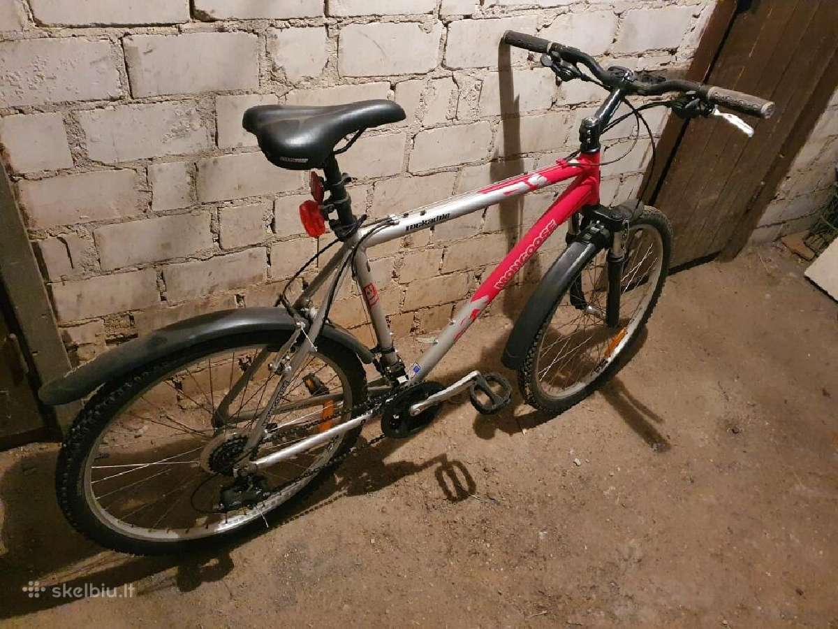 Dviratis Mongoose Rockadile