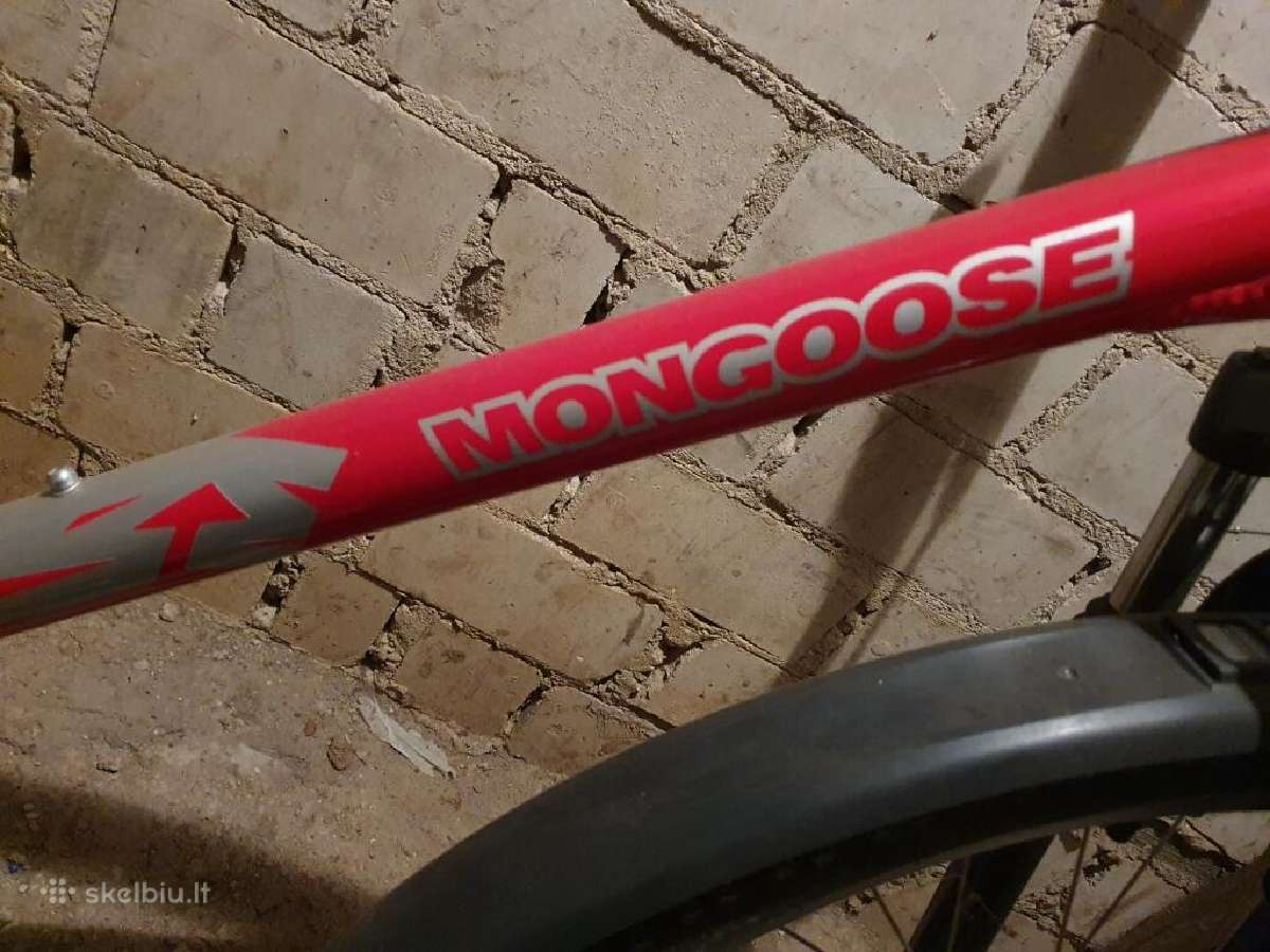 Dviratis Mongoose Rockadile - nuotraukos Nr. 5