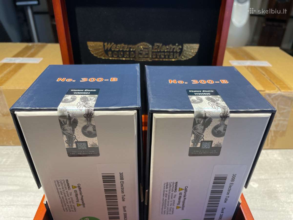 Western Electric lempa We300-b Vacuum Tube nauja
