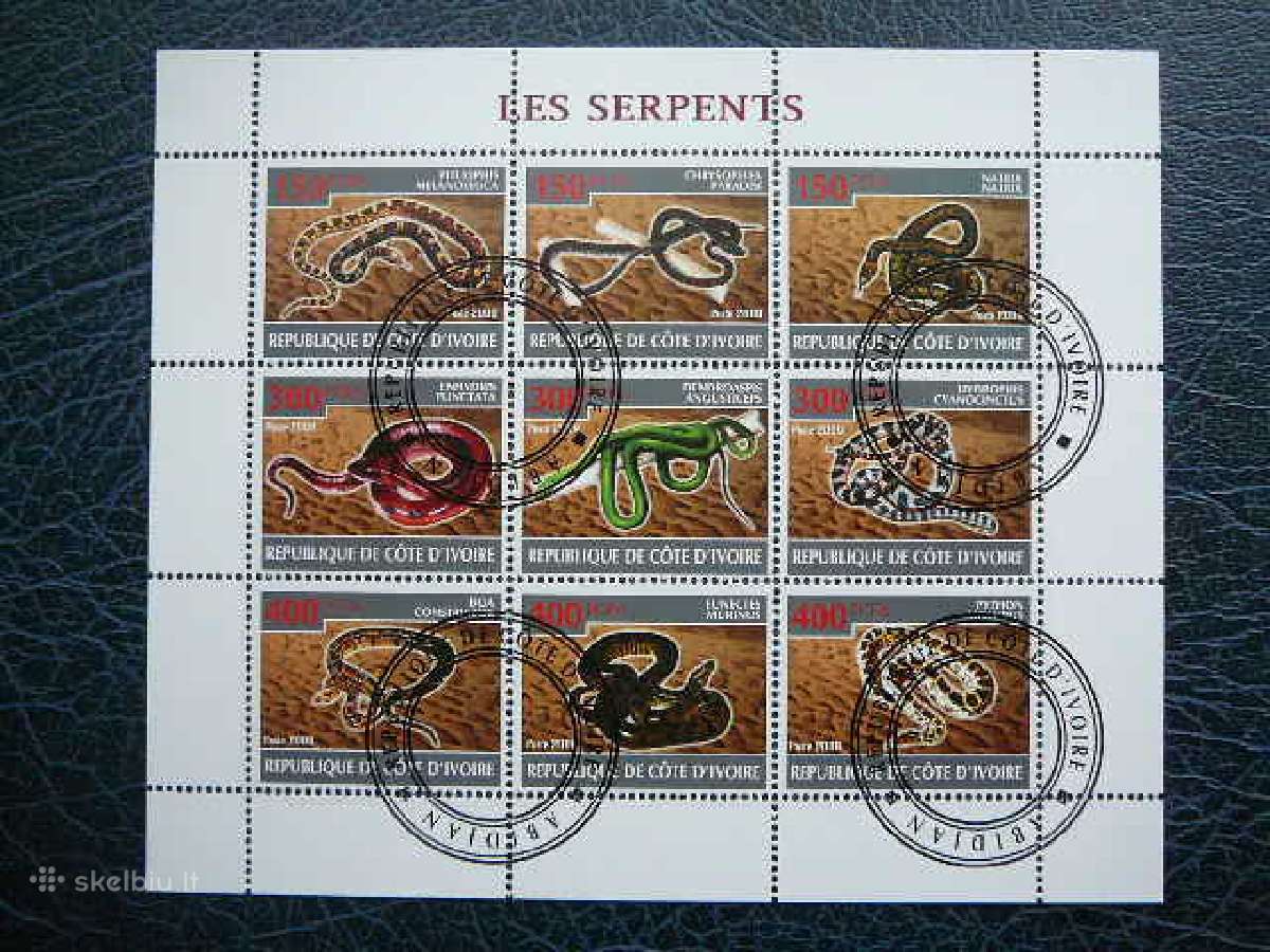 Gyvates Ropliai Ivory Coast 2009 antsp. s475