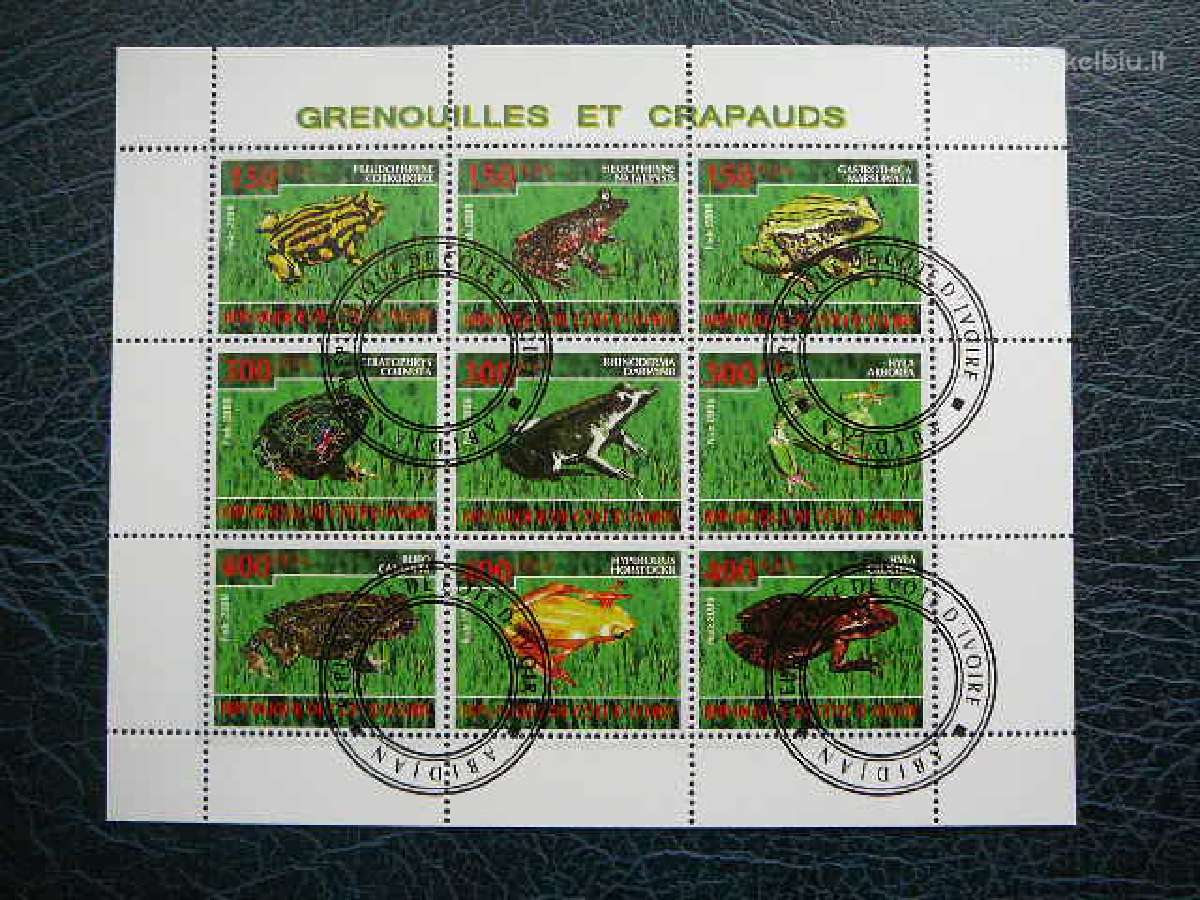Varles Ivory Coast 2009 antsp. s479