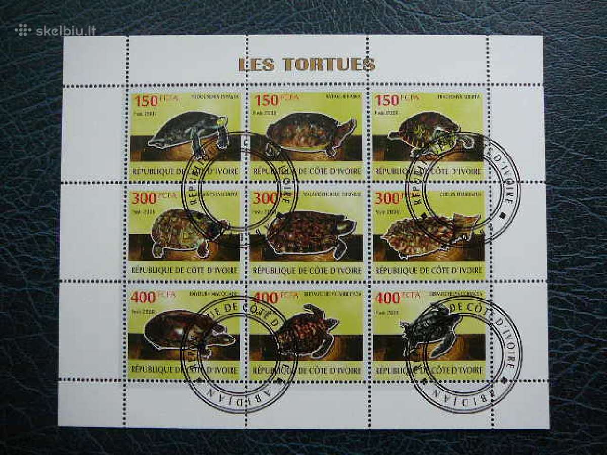 Vezliai Ropliai Ivory Coast 2009 antsp. s480