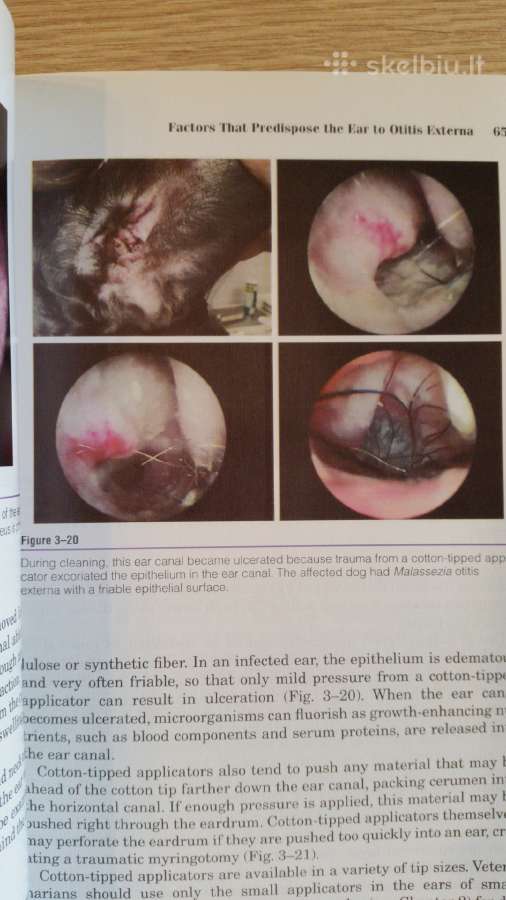 Knyga "Small Animal Ear Diseases" - nuotraukos Nr. 2