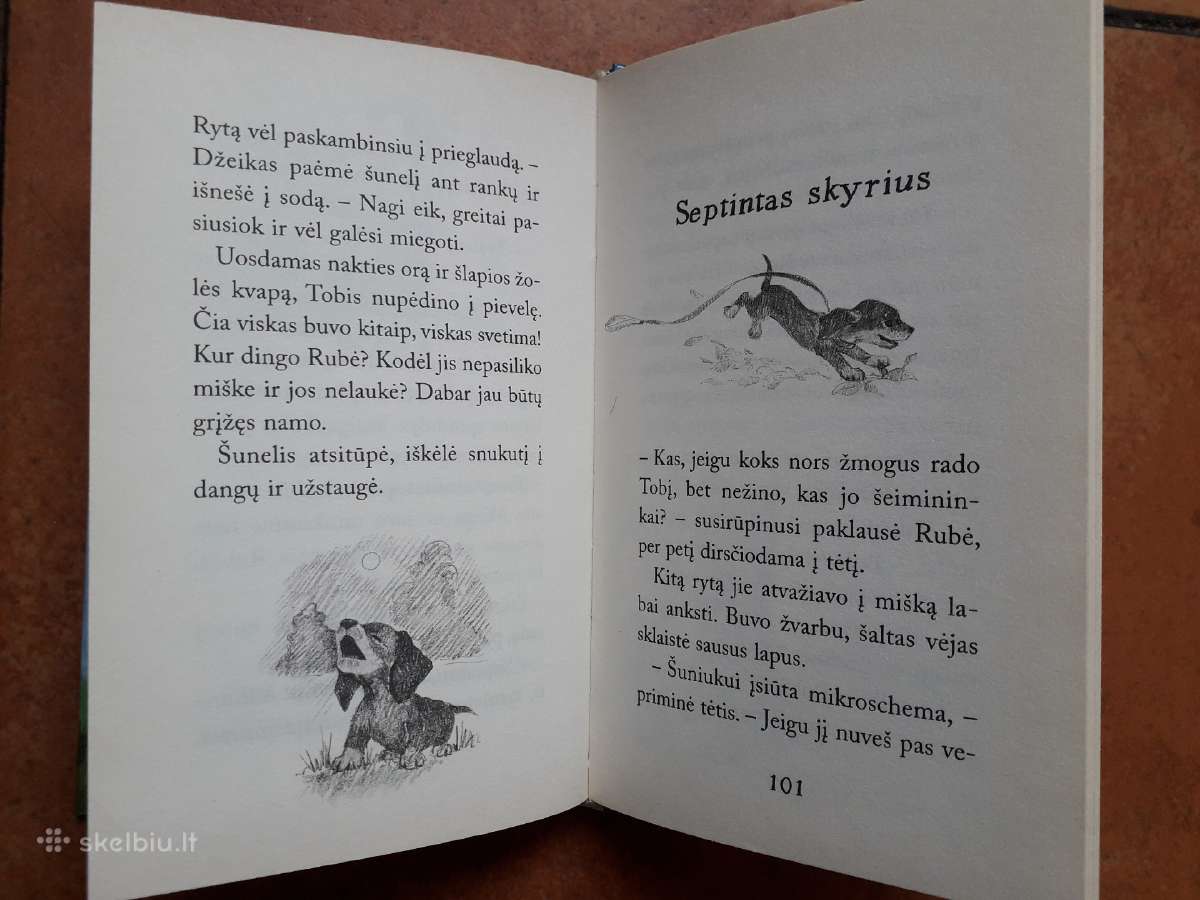 Holly Webb. Nuostabios knygelės vaikams - nuotraukos Nr. 7