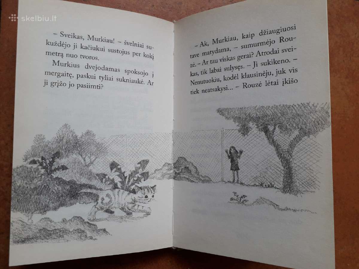 Holly Webb. Nuostabios knygelės vaikams - nuotraukos Nr. 8
