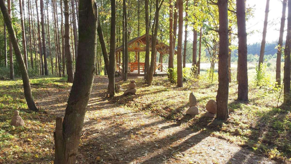 Sodybos,rąstinių namelių,pirties nuoma miške. - nuotraukos Nr. 31