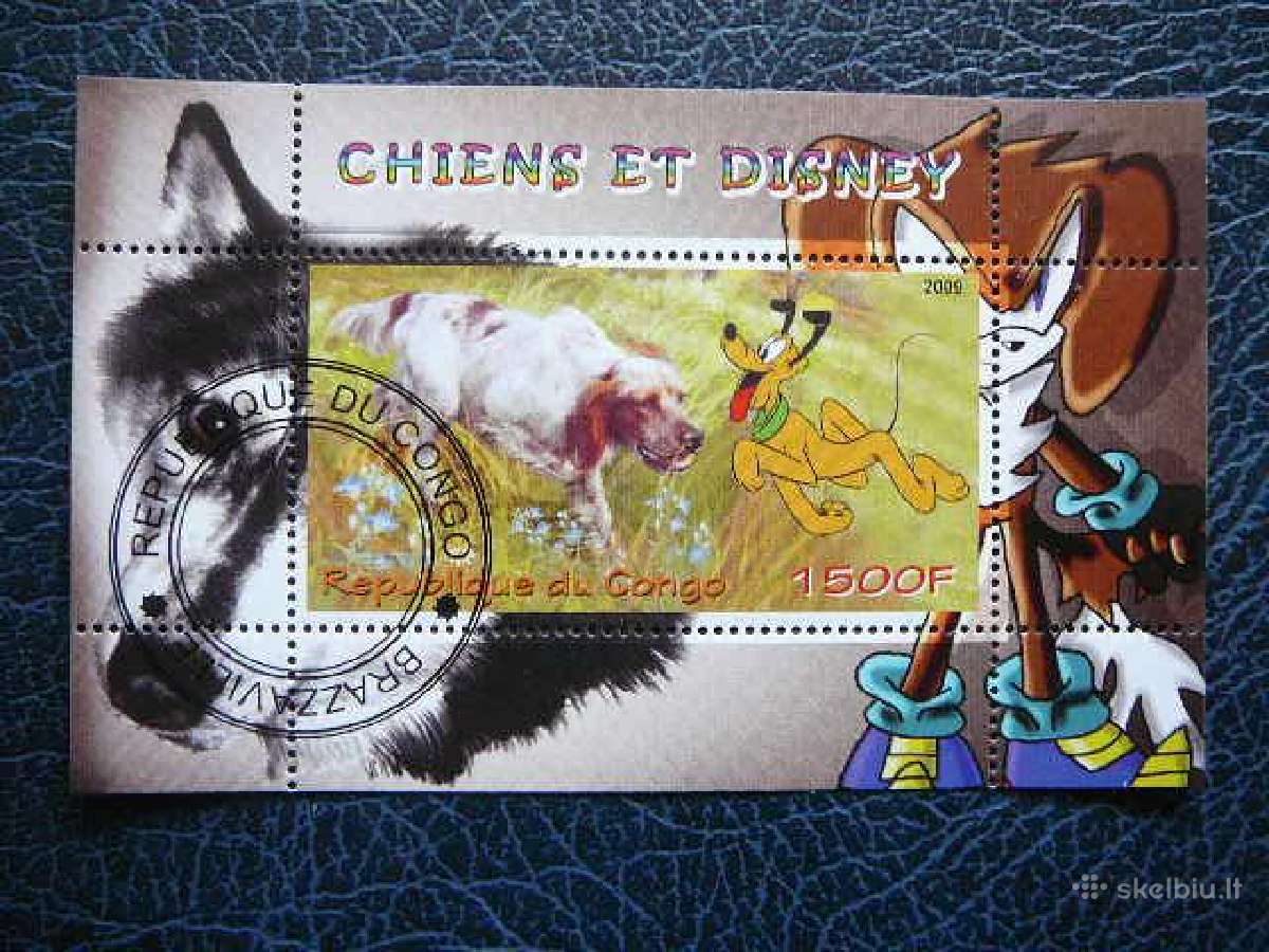 Sunys Disnejus Kongas 2009 antsp. s451