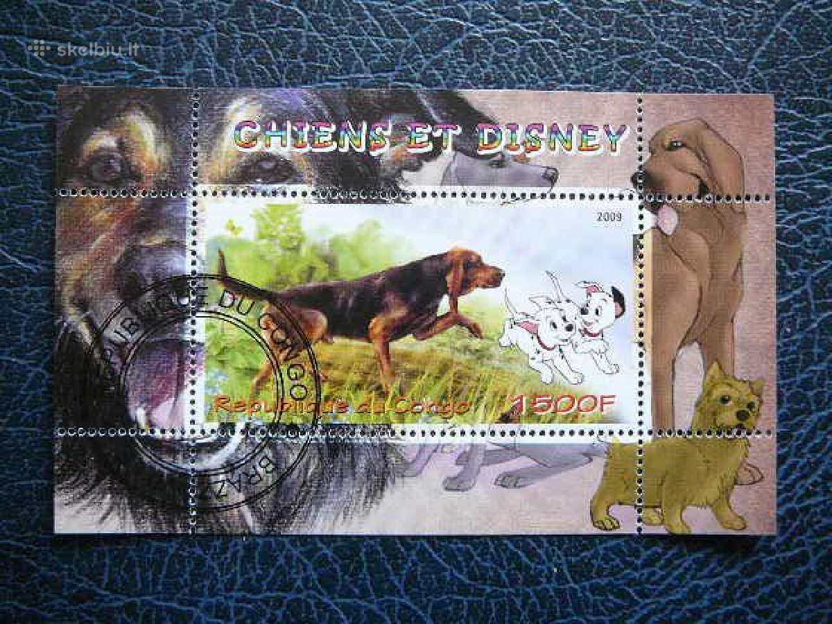 Sunys Disnejus Kongas 2009 antsp. s452