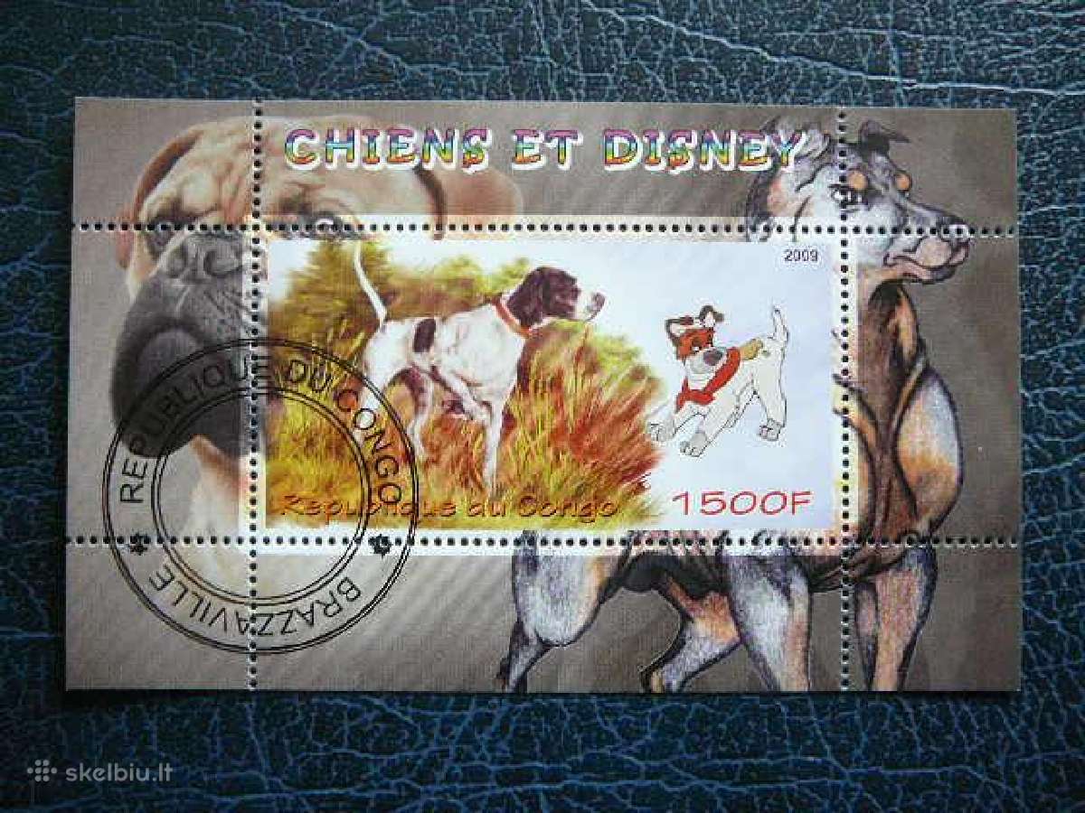 Sunys Disnejus Kongas 2009 antsp. s455