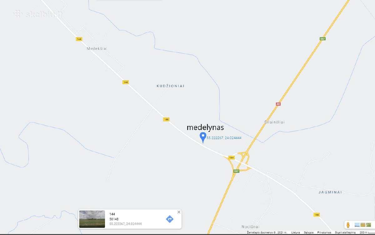 Didelės kalninės pušeles,papr.pušys, eglės,pocūgės - nuotraukos Nr. 24