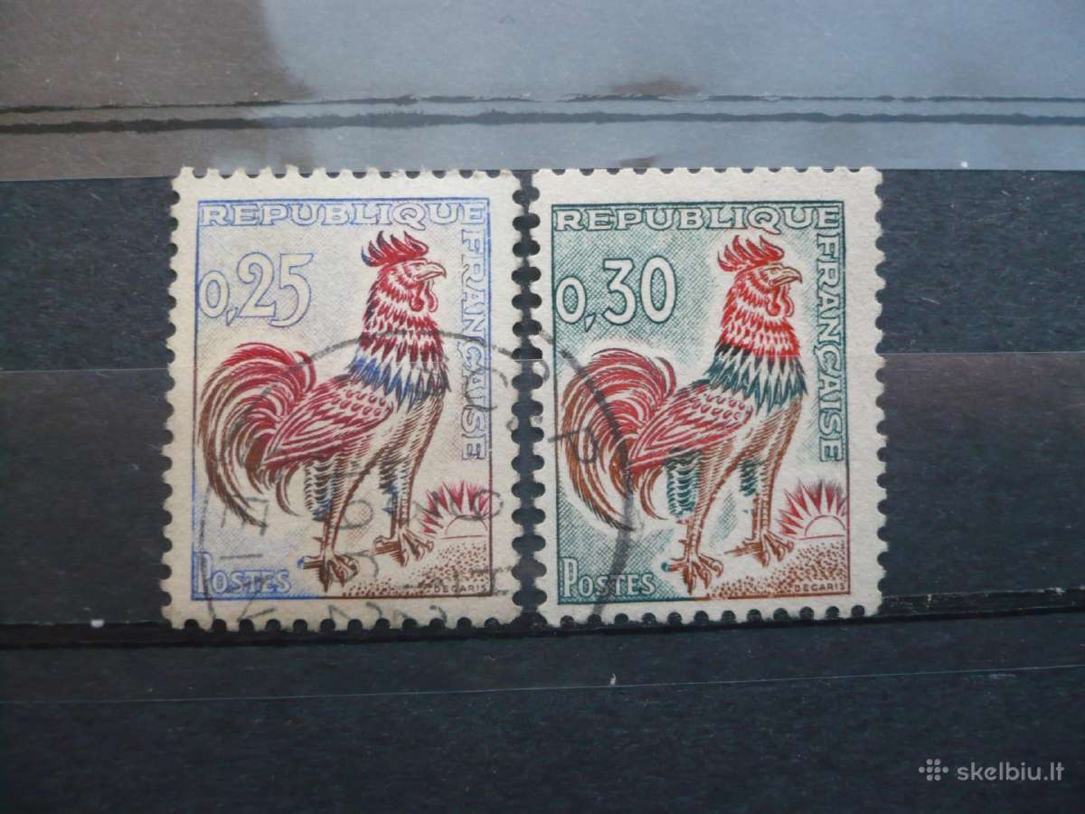 1962 -1965 m Galų gaidys