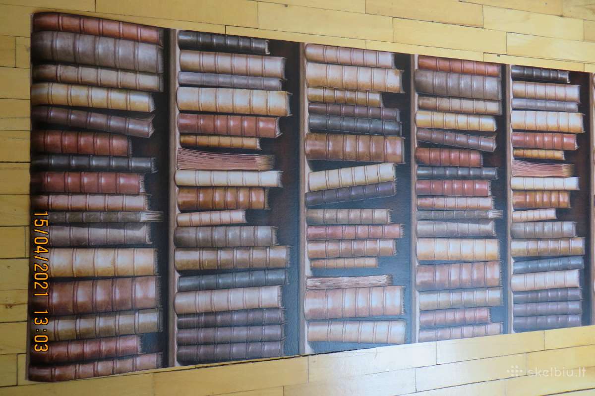 Tapetai 3D bibliotheque Ugepa France - nuotraukos Nr. 2