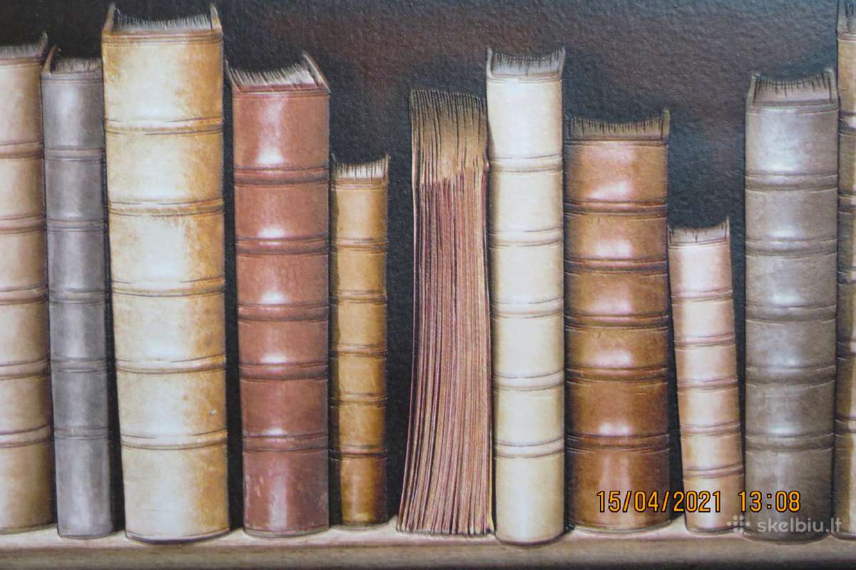 Tapetai 3D bibliotheque Ugepa France - nuotraukos Nr. 3