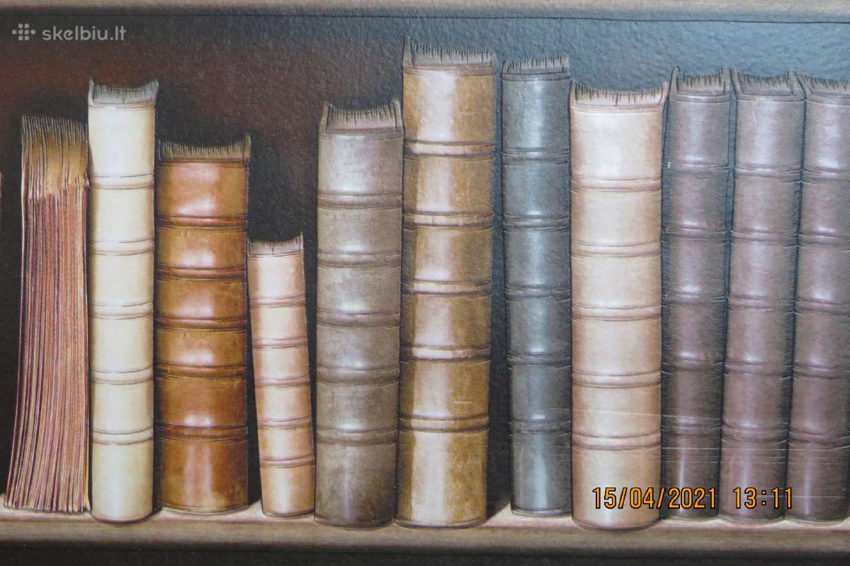 Tapetai 3D bibliotheque Ugepa France - nuotraukos Nr. 4