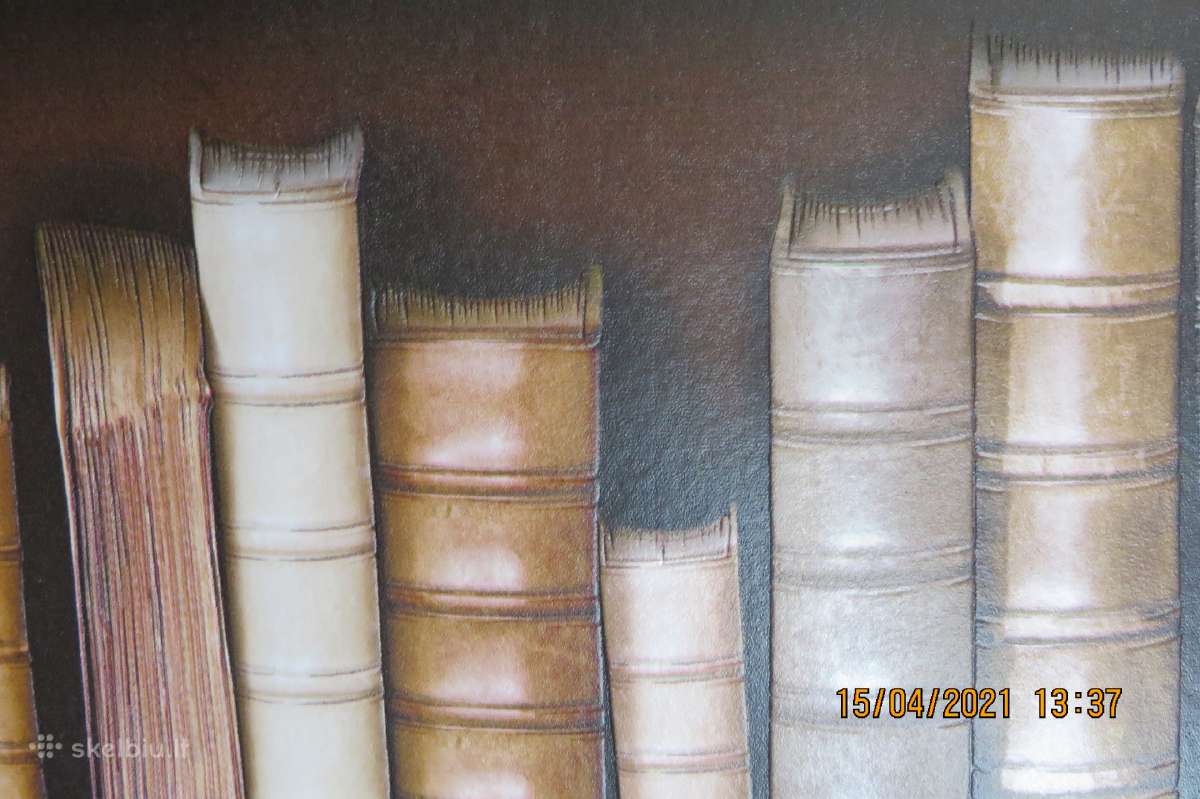 Tapetai 3D bibliotheque Ugepa France - nuotraukos Nr. 6