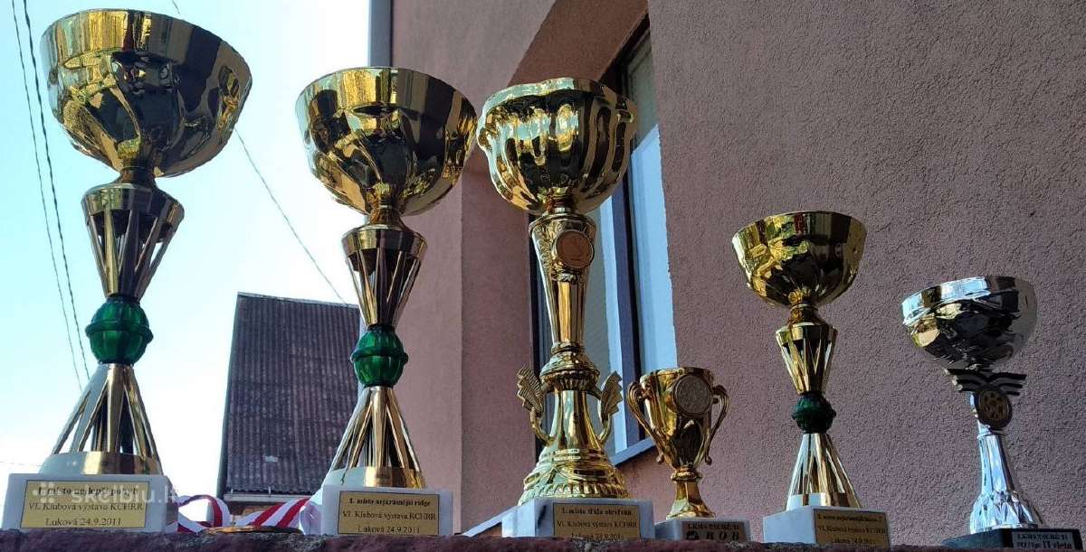 Čempiono taurės ant marmurinio pagrindo