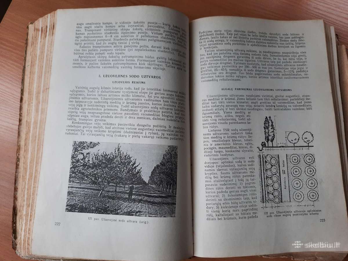 Sena knyga sodininkams "Sodininkystė" 1959m. - nuotraukos Nr. 7