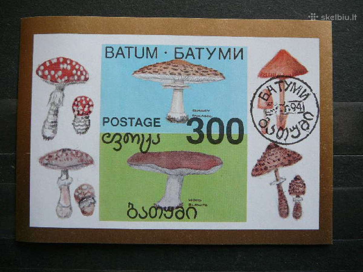 Grybai Batumis 1994 antsp. bm56a