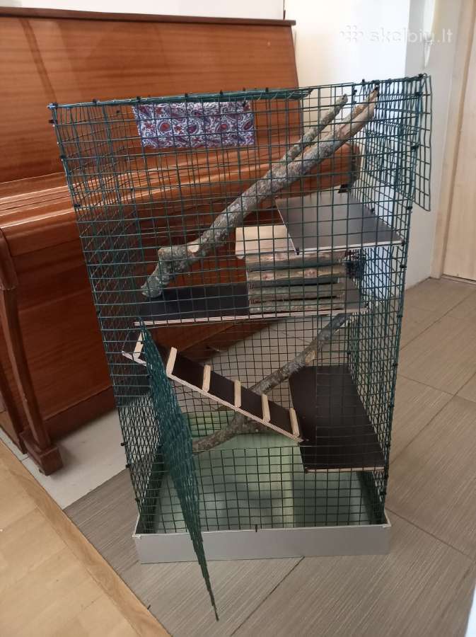 Narvas šinšilai ar šeškui - nuotraukos Nr. 3