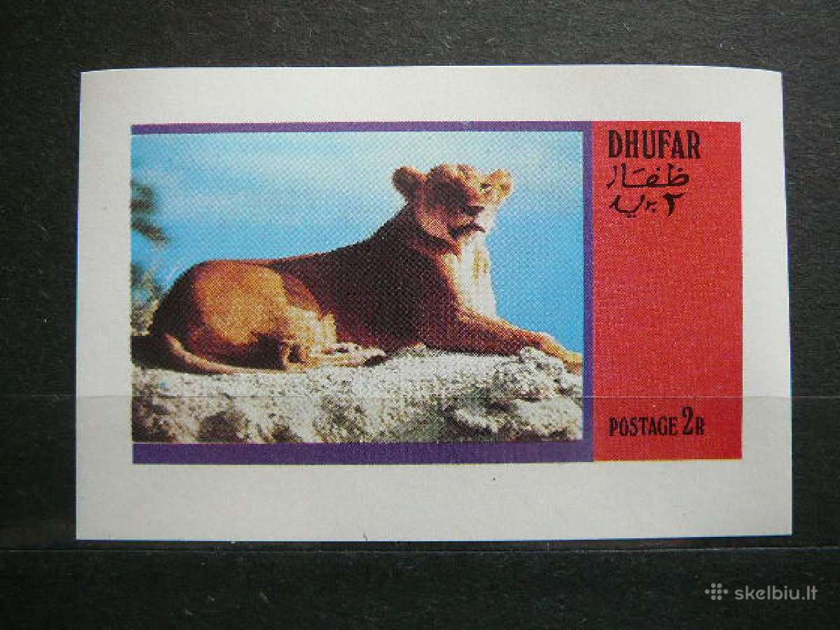Kates laukines Omanas (Dhufar) 1972 Mnh df16s