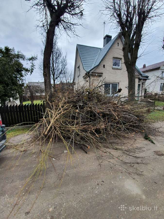 Sklypu Tvarkymas, šakų Išvž.medžiu pjovimas 24/7 - nuotraukos Nr. 17
