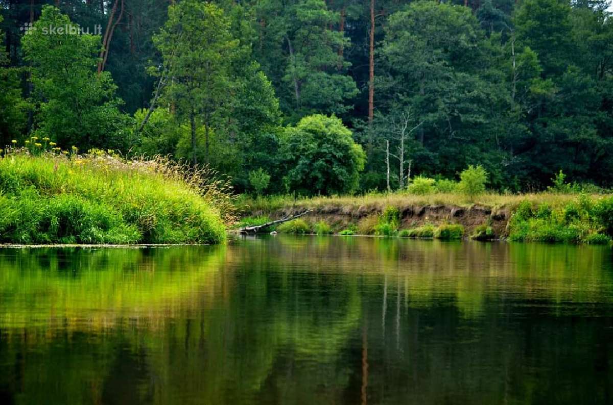 Baidarių, plaustų Nuoma. Turim Baidarių 08-08 d.! - nuotraukos Nr. 8