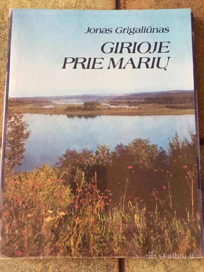 Grigaliūnas Girioje prie marių 1978 m puiki bukle