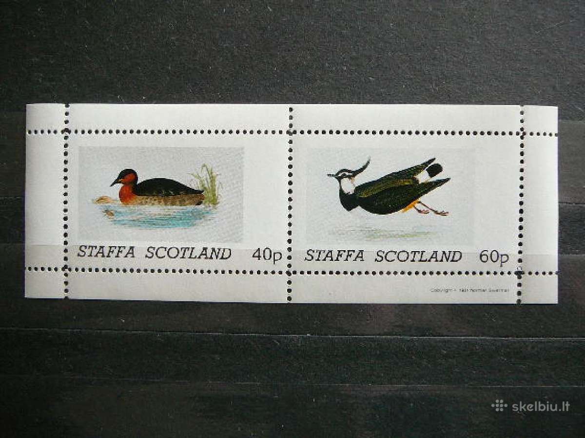 Antys Pauksciai Skotija svarus sk565s