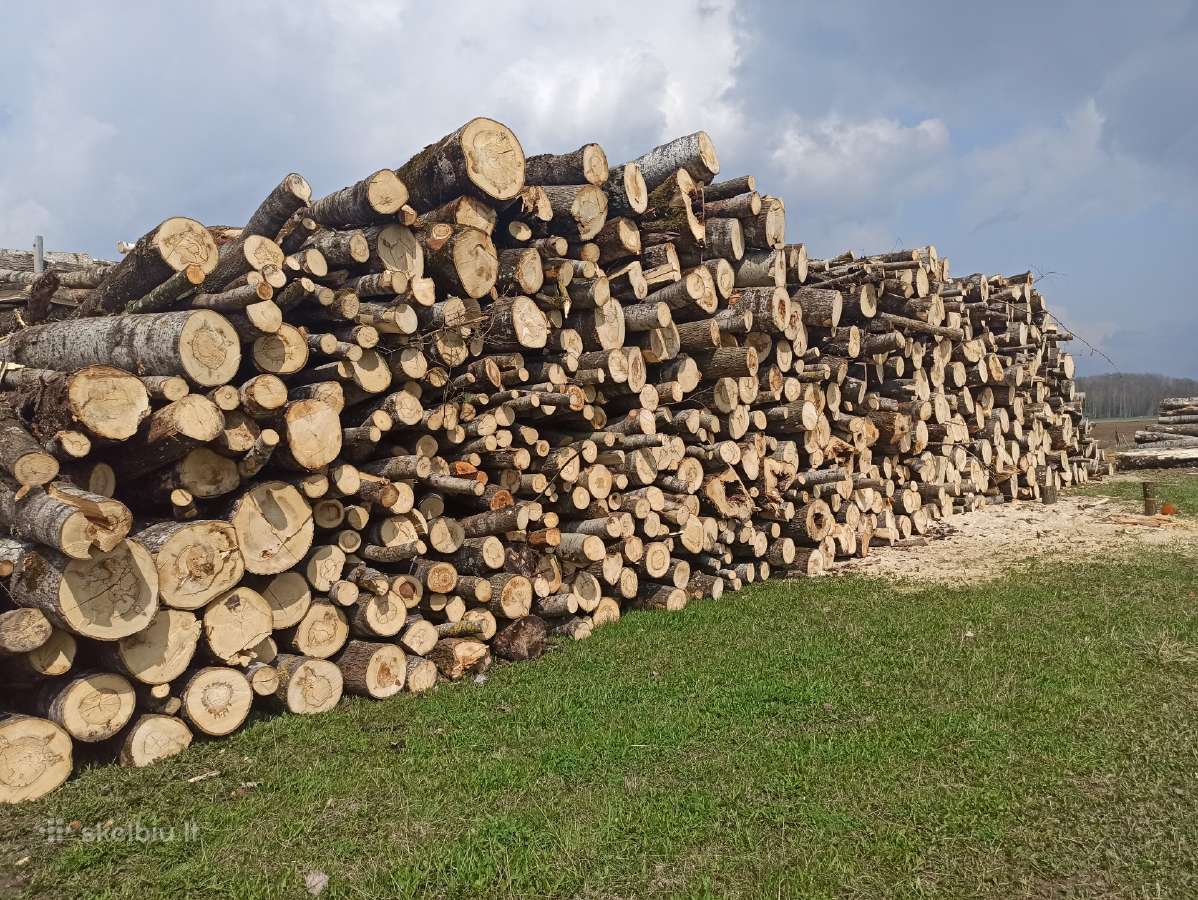 Malkos rąsteliais po 3 metrus, eglės rąstai po 6m - nuotraukos Nr. 11