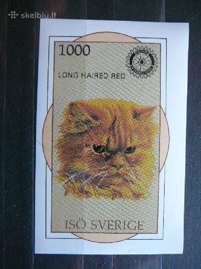 Kates Svedija Iso svarus svs37s