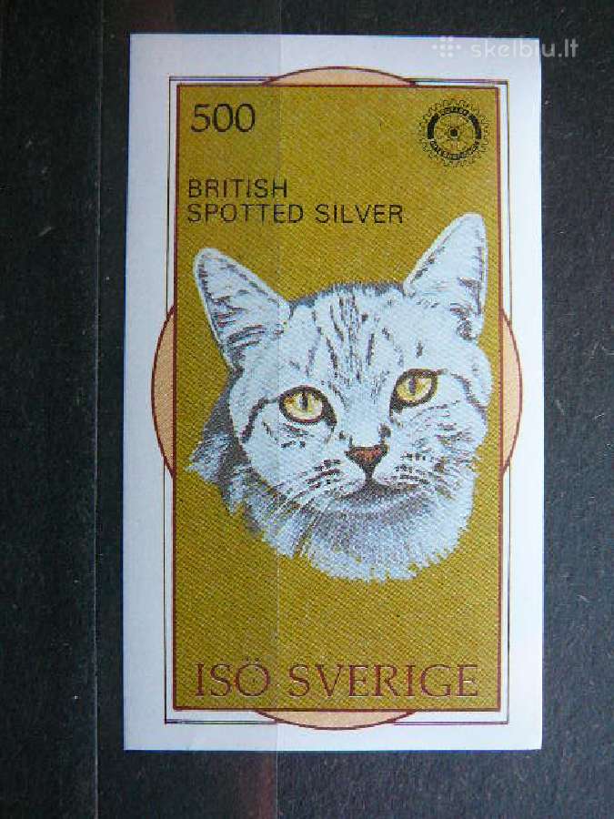 Kates Svedija Iso svarus sk538s