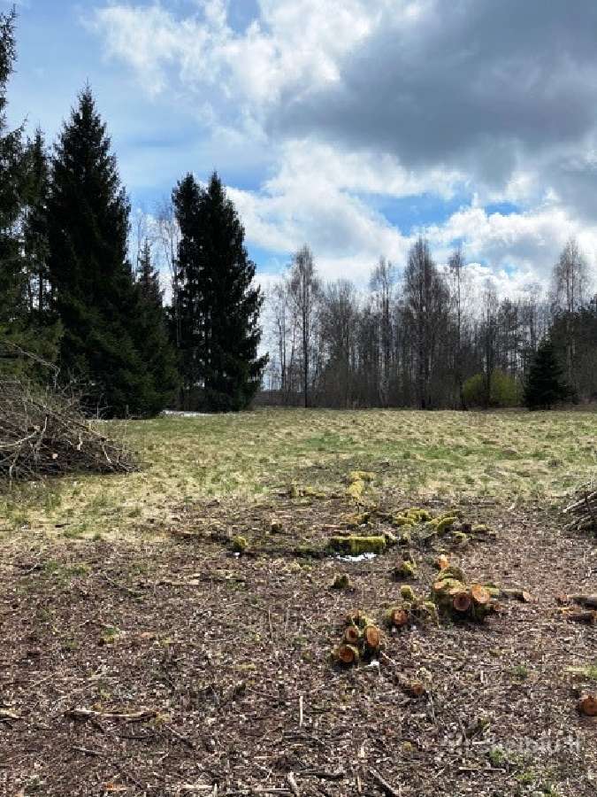 Parduodamas sklypas netoli Platelių ežero - nuotraukos Nr. 3