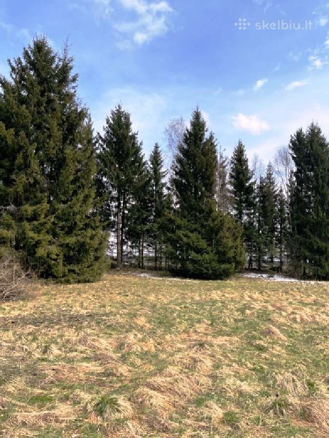 Parduodamas sklypas netoli Platelių ežero - nuotraukos Nr. 5