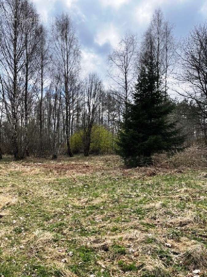 Parduodamas sklypas netoli Platelių ežero - nuotraukos Nr. 8