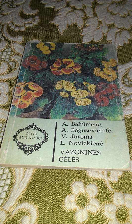 "Kambarinės lapinės gėlės" 1980 m., Lučinskienė A. - nuotraukos Nr. 7