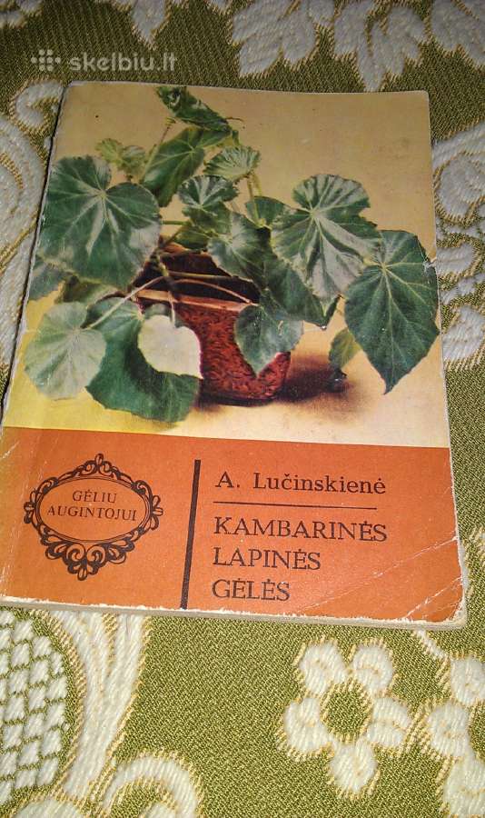 "Vazoninės gėlės" 1989 m. Baliūnienė A. ir kiti - nuotraukos Nr. 5