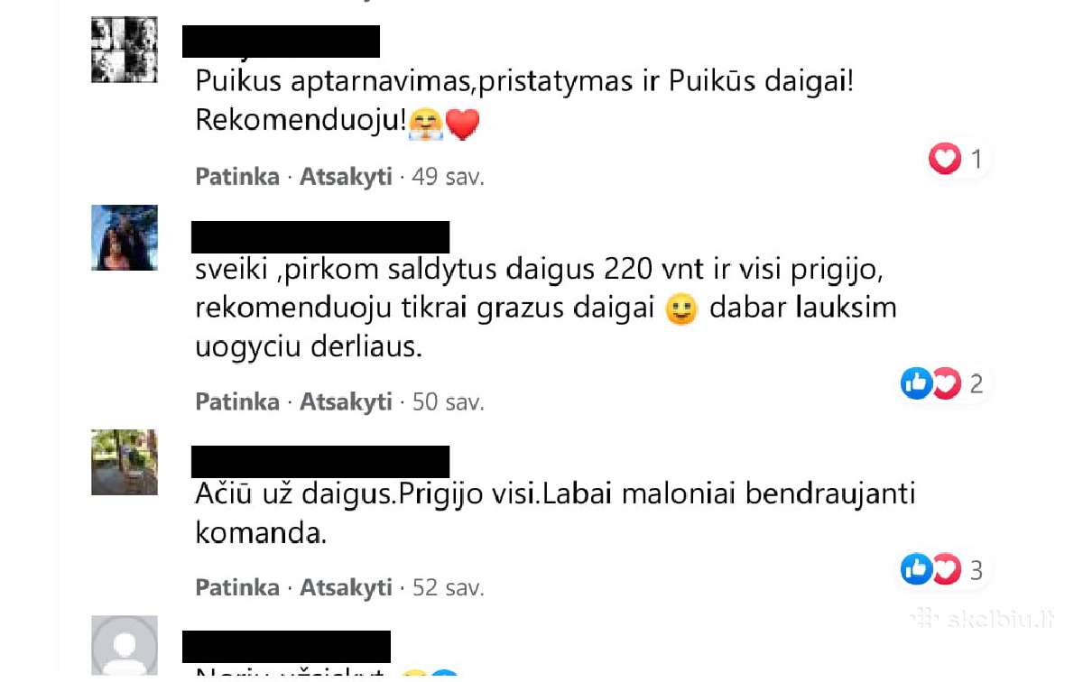 Braškių Daigai, Sertifikuoti iš Olandijos - nuotraukos Nr. 12
