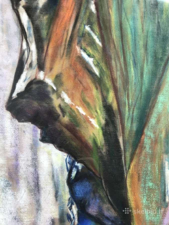 Paveikslas. Pastelė - nuotraukos Nr. 3