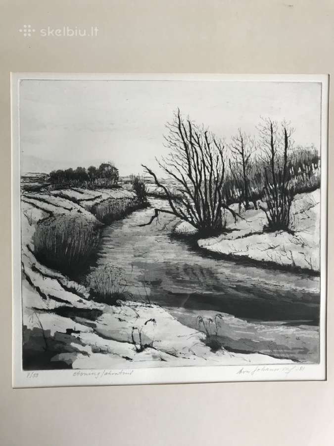 Paveikslas. Graviura - nuotraukos Nr. 5