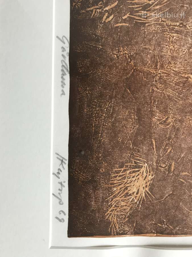 Paveikslas. Litografija - nuotraukos Nr. 6