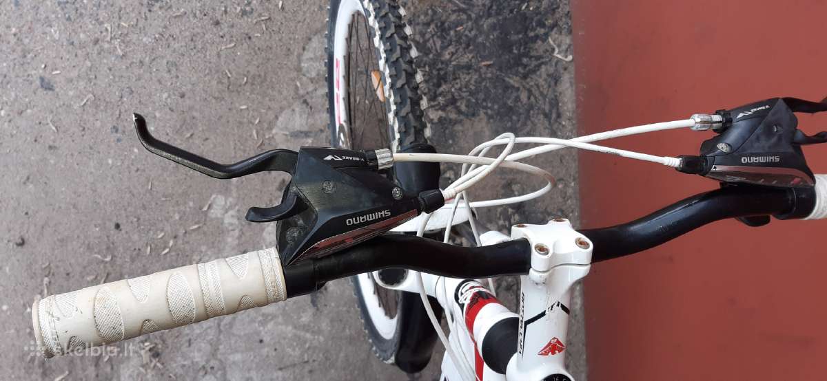 "bottecchia"kalnu dviratukas. - nuotraukos Nr. 6